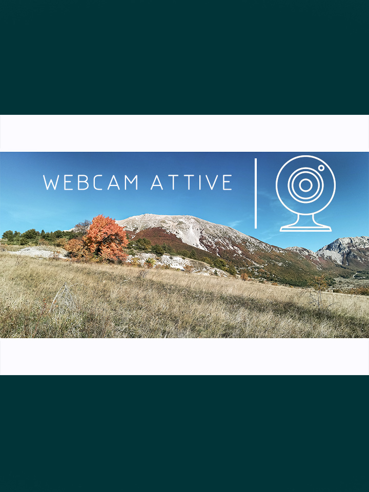 AVVISO | Servizio WEBCAM attivo